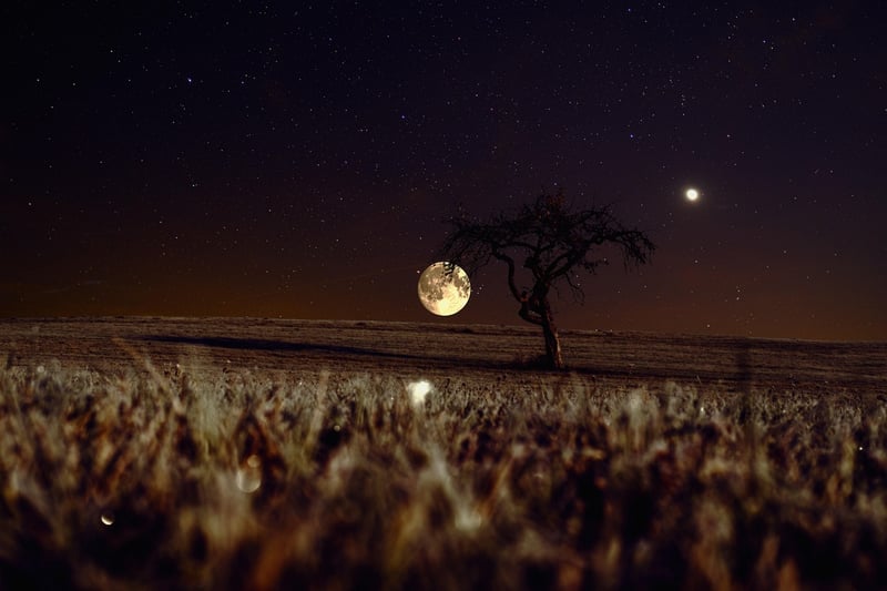 Moon & Stars
